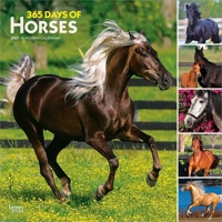 365 Days of Horses 2027 12 X 24 Inch (Hanging) Monthly Square Wall Calendar Plastic-Free B0GH8SZ76P Book Cover