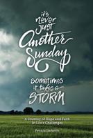 It's Never Just Another Sunday: Sometimes It Takes a Storm 1533259178 Book Cover