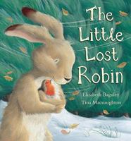 The Little Lost Robin 156148590X Book Cover