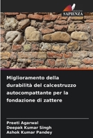 Miglioramento della durabilità del calcestruzzo autocompattante per la fondazione di zattere (Italian Edition) 6209956599 Book Cover