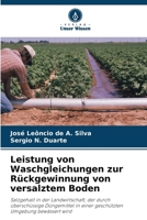 Leistung von Waschgleichungen zur Rückgewinnung von versalztem Boden (German Edition) 6208291925 Book Cover