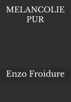 MELANCOLIE PUR (French Edition) B0GHG4PJ84 Book Cover
