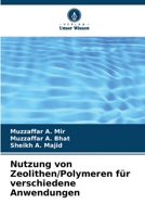 Nutzung von Zeolithen/Polymeren für verschiedene Anwendungen 620529608X Book Cover