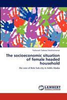 The Socioeconomic Situation of Female Headed Household 3846501425 Book Cover