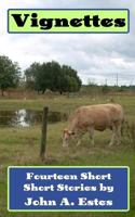 Vignettes: Fourteen Short Short Stories 1463791461 Book Cover