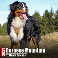 Calendar 2021 Bernese Mountain: Cute Bernese Mountain Photos Monthly Mini Calendar With Inspirational Quotes each Month B08C961BJX Book Cover
