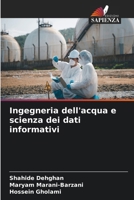 Ingegneria dell'acqua e scienza dei dati informativi (Italian Edition) 6207491041 Book Cover