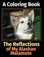 The Reflections of My Alaskan Malamute: A Coloring Book 1709806672 Book Cover