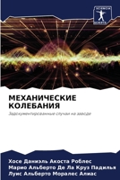 МЕХАНИЧЕСКИЕ КОЛЕБАНИЯ: Задокументированные случаи на заводе 6206129616 Book Cover