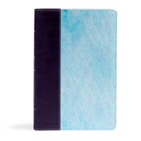 NKJV Daily Devotional Bible for Women, Purple/Blue LeatherTouch 1535935243 Book Cover