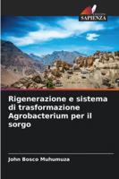 Rigenerazione e sistema di trasformazione Agrobacterium per il sorgo (Italian Edition) 6209361145 Book Cover