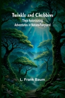 Twinkle and Chubbins: Their Astonishing Adventures in Nature-Fairyland (French Edition) 9362515482 Book Cover