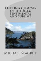 Fleeting Glimpses of the Silly, Sentimental and Sublime 0692210768 Book Cover