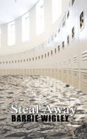 Steal Away 148286679X Book Cover
