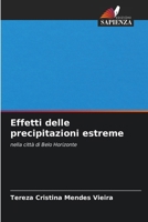 Effetti delle precipitazioni estreme (Italian Edition) 6208218705 Book Cover