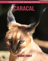 Caracal: Fun Facts and Amazing Photos B088BH4323 Book Cover