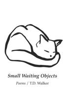 Small Waiting Objects 1625493118 Book Cover