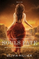Souls Fate: Book Six of the Shadow & Shifter Series (A Young Adult Paranormal Romance) B0C1J5GRNG Book Cover