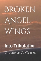 Broken Angel Wings: Into Tribulation B08ZW38CCD Book Cover