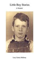 Little Boy Stories 1609573501 Book Cover