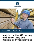 Matrix zur Identifizierung und Bewertung von Risiken im Inventurzyklus (German Edition) 6207069218 Book Cover