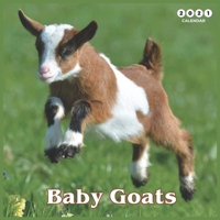 Baby Goats 2021 calendar: Beautiful Baby Goats - 2021 Calendar 8.5" x 8.5" - glossy finish B08LRNGKP2 Book Cover