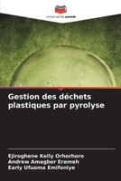 Gestion des déchets plastiques par pyrolyse (French Edition) 6209736521 Book Cover