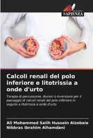 Calcoli renali del polo inferiore e litotrissia a onde d'urto (Italian Edition) 6204712608 Book Cover