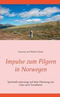 Impulse zum Pilgern in Norwegen (German Edition) 3741254118 Book Cover