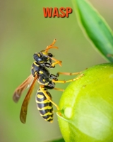 Wasp: Learn About Wasp and Enjoy Colorful Pictures B08MHT193H Book Cover