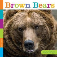 Brown Bears 1628324813 Book Cover