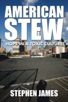 American Stew: Hope in a Toxic Culture 1504929144 Book Cover