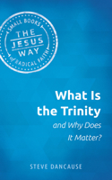 What is the Trinity and Why Does it Matter? 1513805681 Book Cover
