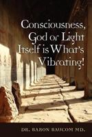 Consciousness, God or Light Itself Is What's Vibrating! 1439244790 Book Cover