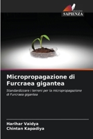 Micropropagazione di Furcraea gigantea (Italian Edition) 6207851676 Book Cover