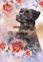 Weekly And Monthly Planner: Organize Your Daily Activities At Home School And Office - Watercolor Lab Dog 1703313305 Book Cover