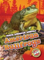 American Bullfrogs 1626179816 Book Cover