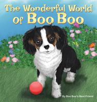 The Wonderful World Of Boo Boo 1633021130 Book Cover