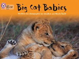 Big Cat Babies: Band 05/Green (Collins Big Cat) 0007185944 Book Cover