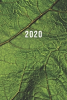 2020: ENE - DIC Planificador Semanal | 1 Semana en 2 Páginas | Agenda Semana Vista | Calendario Organizador | A5 Planner | Hoja Verde (Spanish Edition) 1676171134 Book Cover