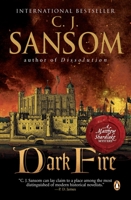 Dark Fire 1405041633 Book Cover