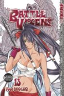 Battle Vixens Volume 13 1427812381 Book Cover