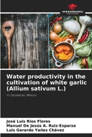 Water productivity in the cultivation of white garlic (Allium sativum L.) 6207983270 Book Cover