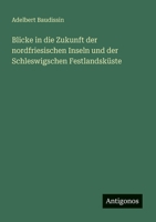Blicke in die Zukunft der nordfriesischen Inseln und der Schleswigschen Festlandsküste (German Edition) 3563123667 Book Cover