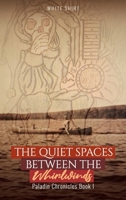The Quiet Spaces Between the Whirlwinds: Paladin Chronicles Book I B0CTZ72RNV Book Cover