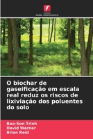 O biochar de gaseificação em escala real reduz os riscos de lixiviação dos poluentes do solo 620572829X Book Cover