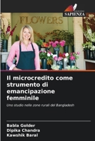 Il microcredito come strumento di emancipazione femminile (Italian Edition) 620972941X Book Cover