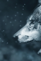 Wolf Totem: Blank Spell Book Journal For Witches, Conjurers And Magical Rituals 1687402590 Book Cover