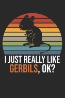 I Just Really Like Gerbils, OK?: DIN A5 W�stenrennmaus Notizheft leer - 120 Seiten leeres W�stenrennmaus Notizbuch f�r Notizen in Schule, Universit�t, Arbeit oder zuhause. - Eine tolles Geschenk f�r I 1672193389 Book Cover