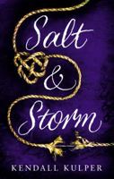Salt & Storm 0316404527 Book Cover